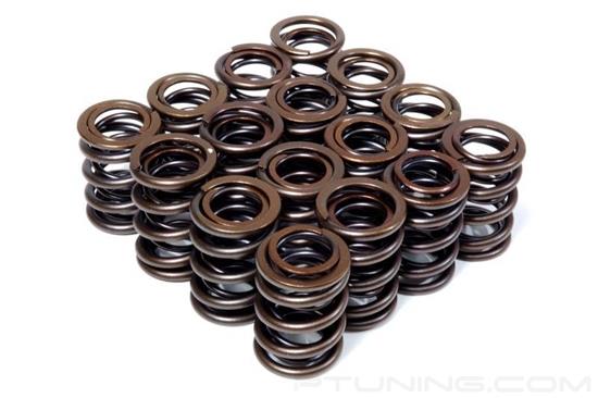 Picture of Dual Valve Spring Kit