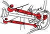 Picture of EZ Arm XR Rear Adjustable Control Arms