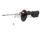 Picture of Excel-G Front Passenger Side Twin-Tube Strut