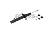 Picture of Excel-G Front Passenger Side Twin-Tube Strut