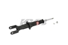 Picture of Excel-G Front Driver or Passenger Side Twin-Tube Strut