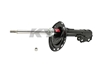 Picture of Excel-G Front Passenger Side Twin-Tube Strut