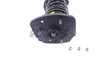 Picture of Strut-Plus Rear Driver Side Twin-Tube Complete Strut Assembly