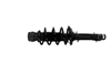 Picture of Strut-Plus Front Driver or Passenger Side Twin-Tube Complete Strut Assembly