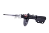 Picture of Excel-G Front Driver or Passenger Side Twin-Tube Strut
