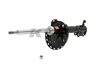 Picture of Excel-G Rear Passenger Side Twin-Tube Strut