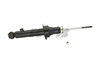 Picture of Excel-G Front Driver or Passenger Side Twin-Tube Strut