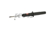 Picture of Excel-G Front Driver or Passenger Side Twin-Tube Strut