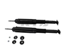 Picture of SR Series Rear Shock Absorbers