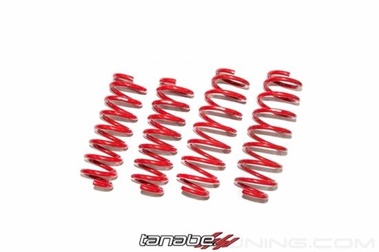 Picture of NF210 Series Lowering Springs (Front/Rear Drop: 0.9" / 0.5")