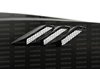Picture of TS-Style Carbon Fiber Hood