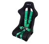 Picture of 6 Point Seat Belt Harness / Cam Lock - Green (3")