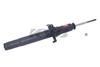 Picture of Excel-G Front Driver or Passenger Side Twin-Tube Strut