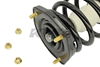 Picture of Strut-Plus Rear Driver Side Twin-Tube Complete Strut Assembly