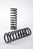 Picture of Lowering Springs (Front/Rear Drop: 1" / 1")