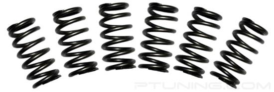 Picture of Valve Spring Kit - 60 lbs