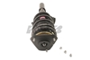 Picture of Strut-Plus Front Driver or Passenger Side Twin-Tube Complete Strut Assembly