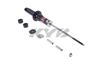 Picture of Excel-G Rear Driver or Passenger Side Twin-Tube Strut