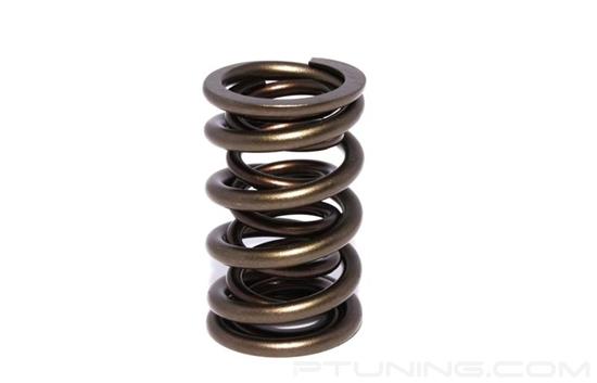 Picture of Race Dual Valve Spring