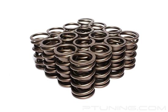 Picture of Dual Valve Spring Set