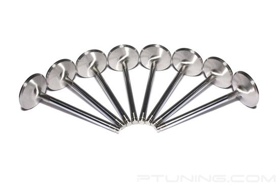 Picture of Sportsman Street Intake Valve Set