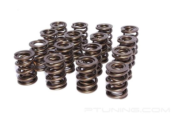 Picture of Dual Valve Spring Set