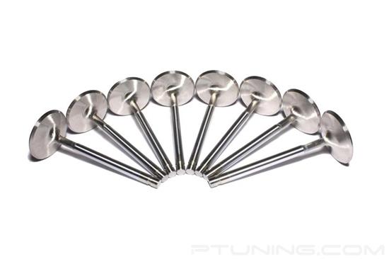 Picture of Sportsman Street Intake Valve Set
