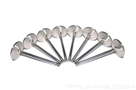 Picture of Sportsman Street Intake Valve Set