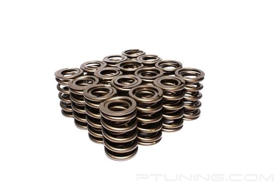 Picture of Dual Valve Spring Set