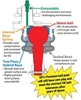 Picture of Front Upper Adjustable Control Arms and Ball Joint Assembly (Pair)
