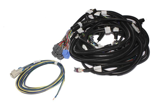 Picture of XFI Wiring Harness