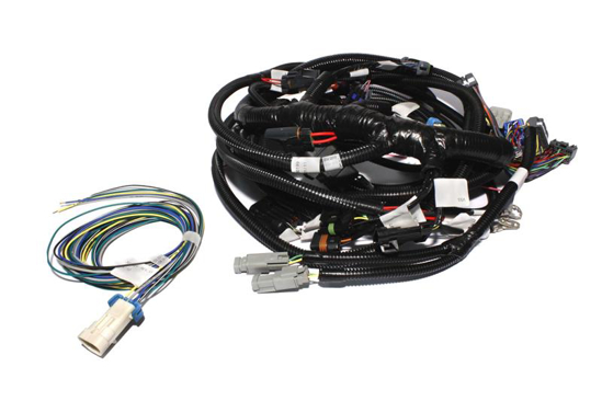 Picture of XFI Wiring Harness