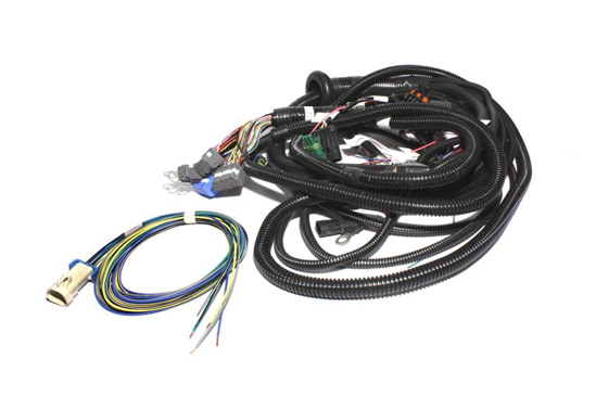 Picture of XFI Wiring Harness