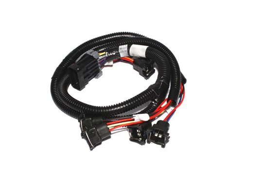 Picture of XFI Fuel Injector Harness