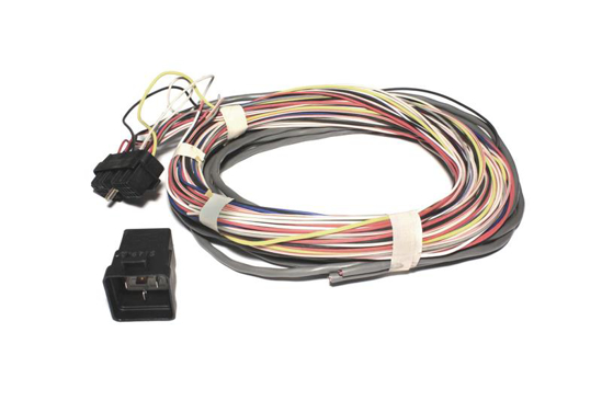 Picture of Wiring Harness