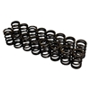 Picture of Single Valve Springs