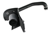 Picture of Magnum FORCE Stage-2 Pro DRY S Cold Air Intake System