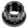 Picture of 12 Point Nut Kit