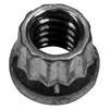 Picture of 12 Point Nut Kit