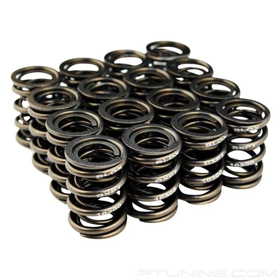 Picture of Dual Valve Spring Kit