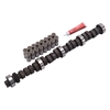 Picture of Performer-Plus Hydraulic Flat tappet Camshaft and Lifter Kit