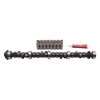 Picture of Performer-Plus Hydraulic Flat tappet Camshaft and Lifter Kit