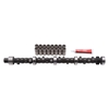 Picture of Performer RPM Hydraulic Flat tappet Camshaft and Lifter Kit