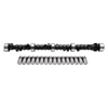 Picture of Torker-Plus Hydraulic Flat tappet Camshaft and Lifter Kit