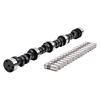 Picture of Torker-Plus Hydraulic Flat tappet Camshaft and Lifter Kit