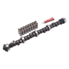 Picture of Performer-Plus Hydraulic Flat tappet Camshaft and Lifter Kit