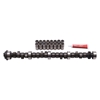 Picture of Performer RPM Hydraulic Flat tappet Camshaft and Lifter Kit