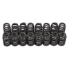 Picture of Valve Springs