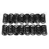 Picture of E-Street Valve Springs