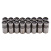 Picture of Hydraulic Flat Camshaft Lifters